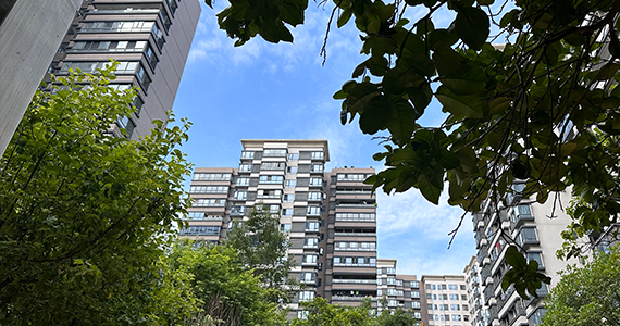 查询com域名建站量情况