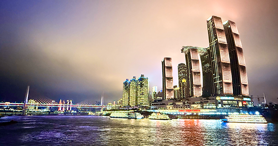 by.1239 com域名查询